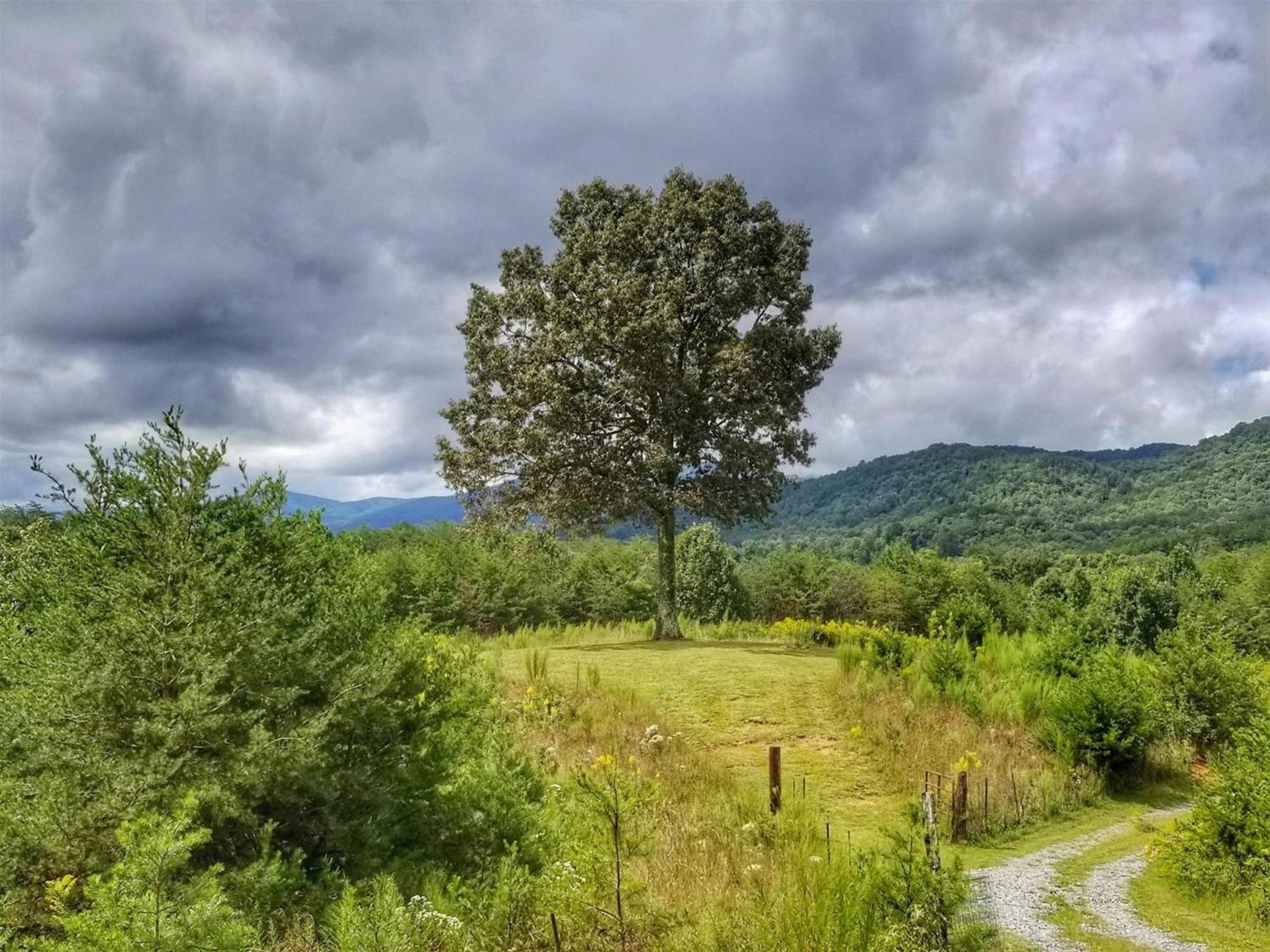 Eula Mae- Ocoee River Area Copperhill Ngoại thất bức ảnh